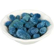 Element dekoracyjny suszone szyszki roślinne niebieskie