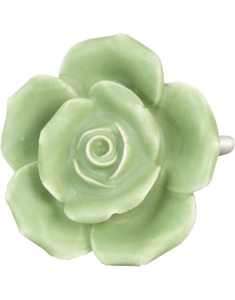 Rosen doorknob &Oslash; 4,5 cm green