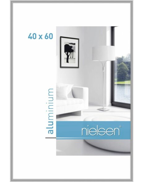 Cornice Nielsen in alluminio Classic 40x60 cm argento