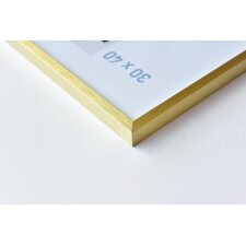 Nielsen Aluminium lijst c2 30x40 cm structuur goud mat