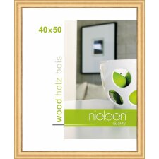 Nielsen Wooden frame Derby 40x50 cm gold