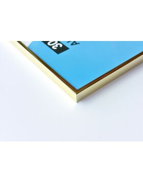 Marco de aluminio Nielsen Accent 15x20 cm dorado