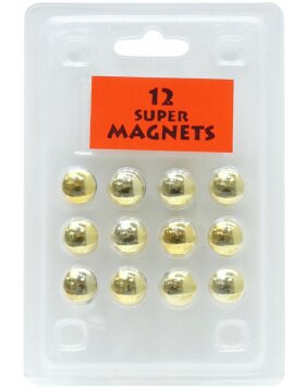 Blister pack 12 magnets gold