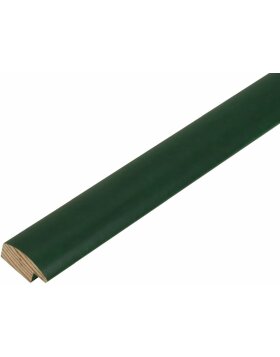 Cornice in legno S40C Deknudt 20x25 cm verde
