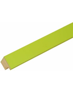 Cornice di legno S40R 20x20 cm verde
