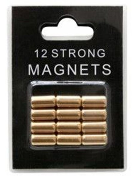 12 Super Magneten Deknudt goud