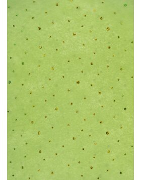 Paper 50x70cm dots fabric green