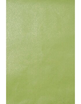 Paper 70x100 cm Glitter paper green